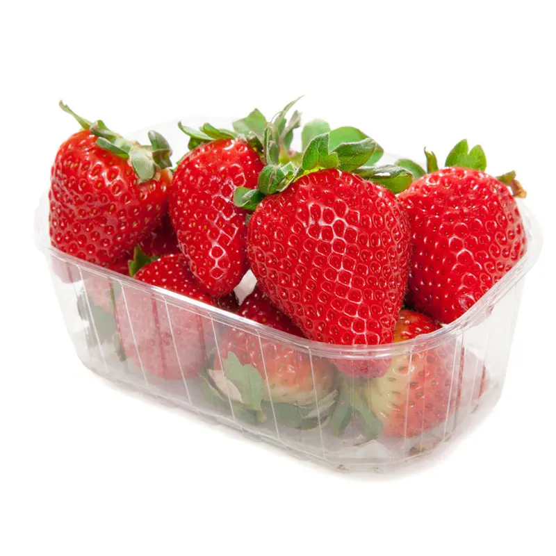 Top Quality Fresh Berries Fruits Eco Friendly Packages Turkish Delicious Sweet Golden Strawberry