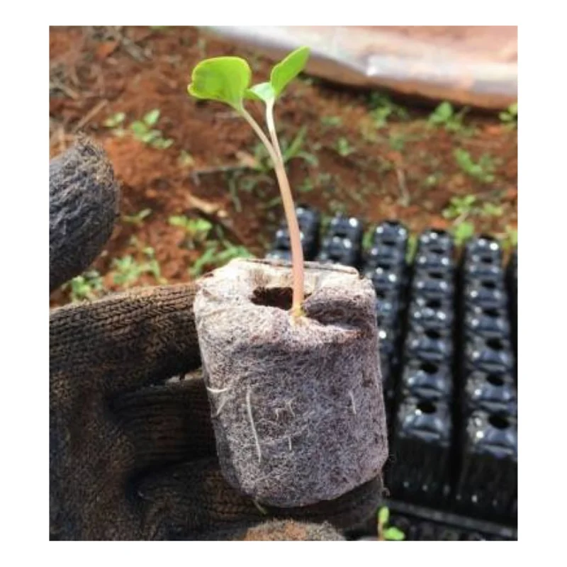 High Quality Coco Peat Pellet - Good Material For Planting Soil