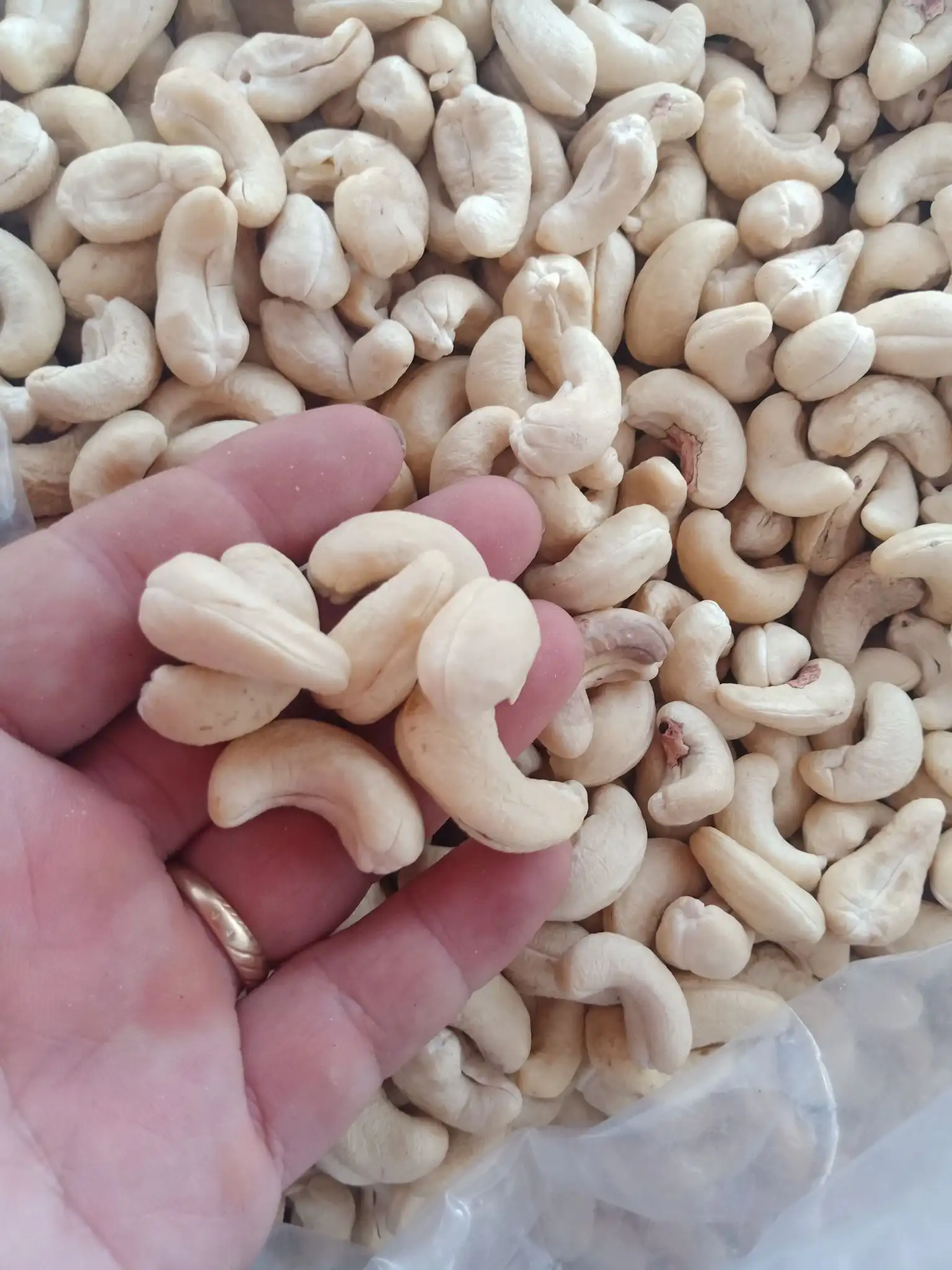 Сырые орехи кешью экспорт из Вьетнама оптовая продажа высокое качество (Сертификация: GAP HACCP...) -100% органический