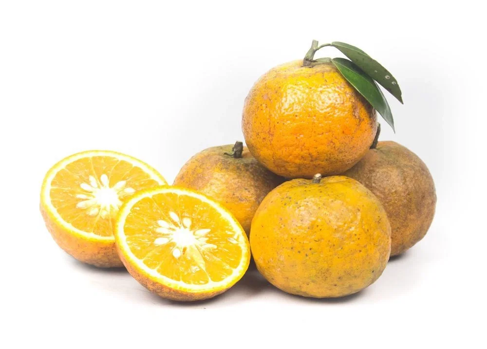 Ha Giang Province Orange made in vietnam 100% Natural Organic Cultivation type Wholesale Hot 2022