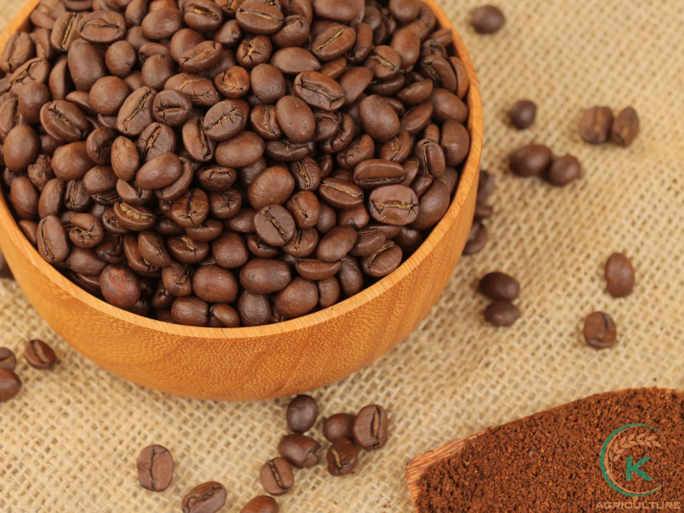 [Best selling] green coffee green coffee bean Arabica green coffee beans Authentic