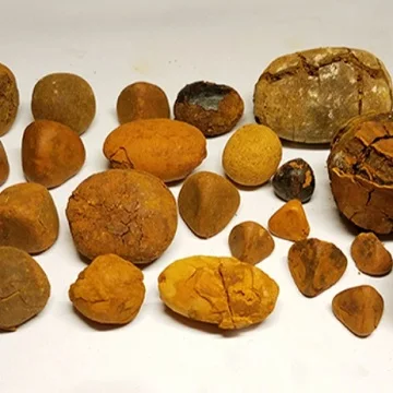  Купить корова галл камни/Ox желчные камни на