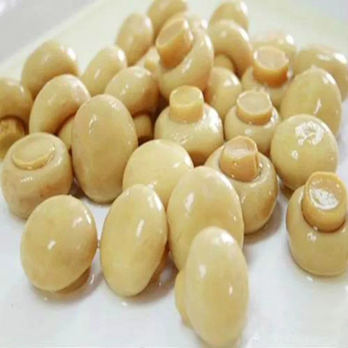
High Quality Canned Mushroom for Sale 