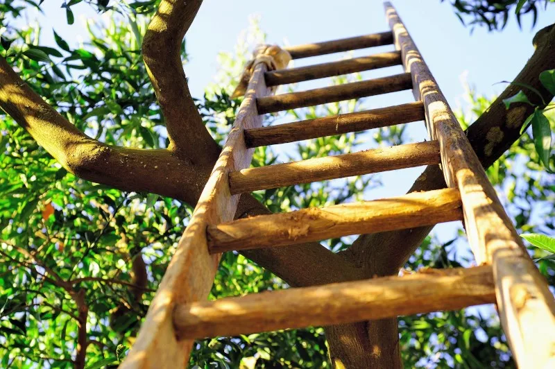 LUXURY ITALIAN TOP QUALITY HANDCRAFT HABANERO PEPPER AND VEGETABLES COMPOTE JAM 150 G. FOR SALE