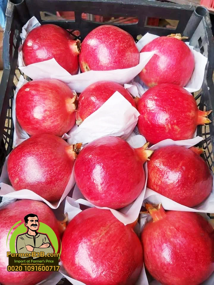 Свежие гранатовые фрукты премиум-класса wonderful-116 (Непревзойденная цена)