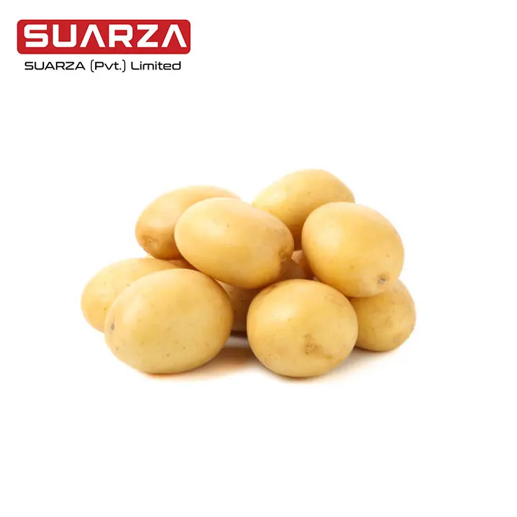 Свежий картофель с высоким содержанием белка