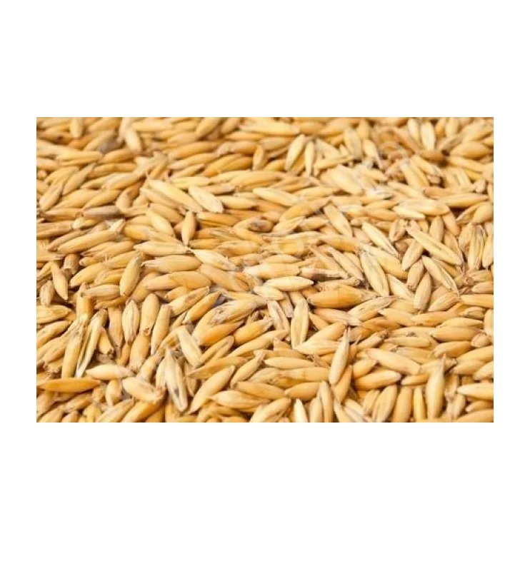 
Big bag natural gold oats 
