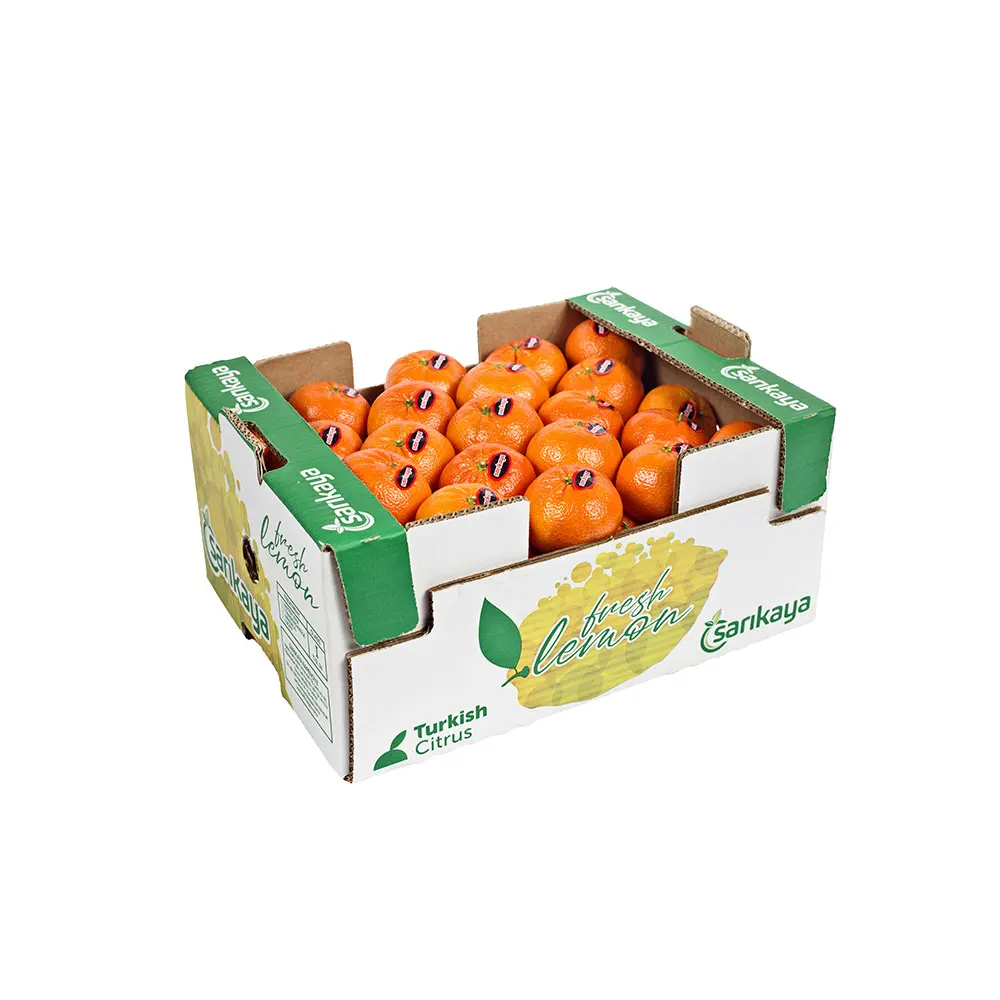 Оптовая продажа сезонный свежий мандарин Satsuma для продажи