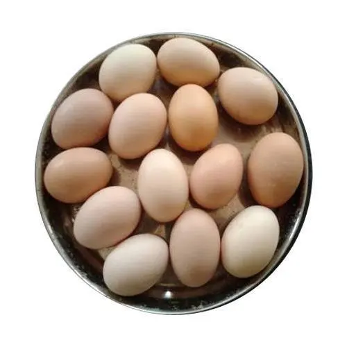 High Quality Fertile Hatching Chicken Egg/Fresh Chicken Table Eggs/Quail Eggs