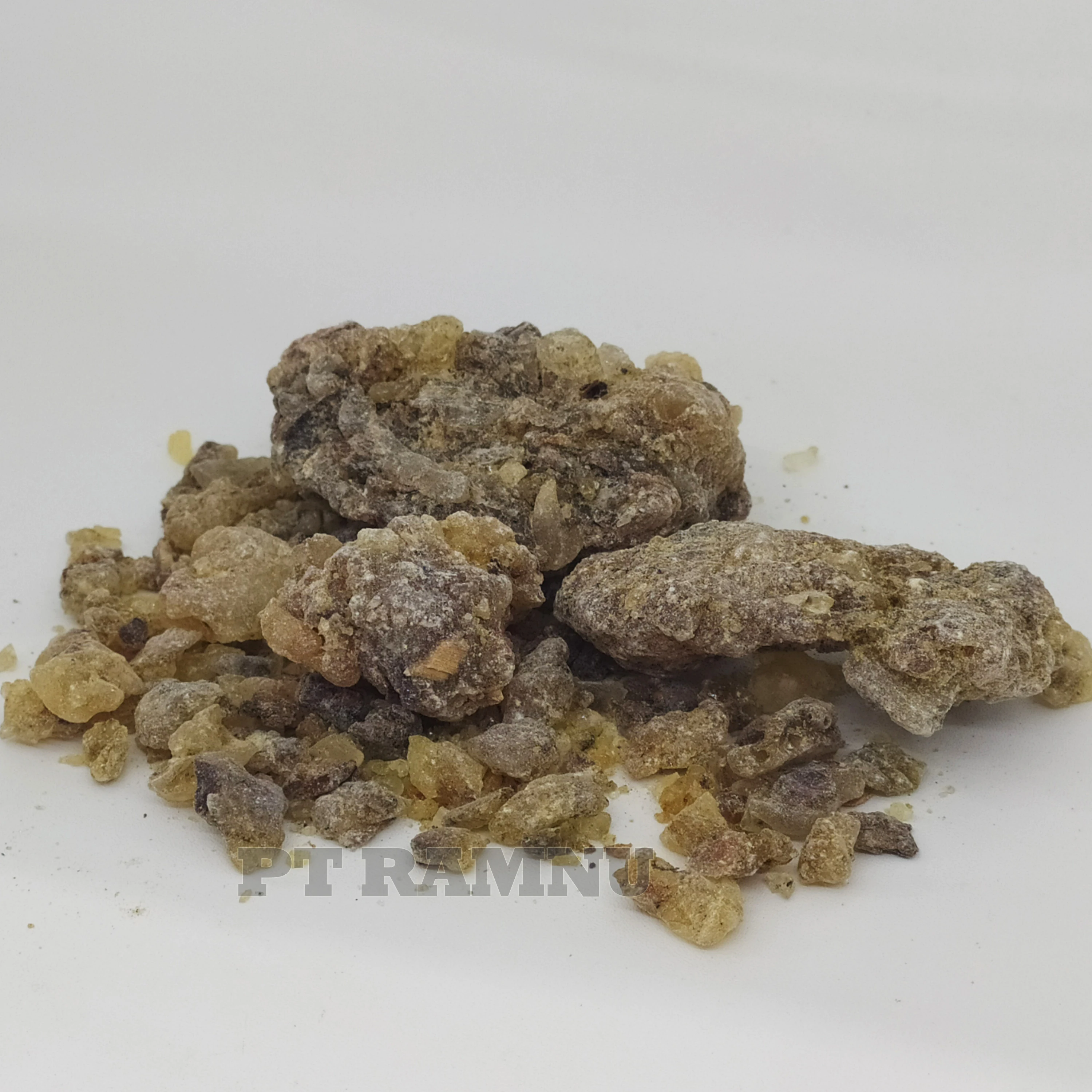 
Gum Copal WS from Indonesia 