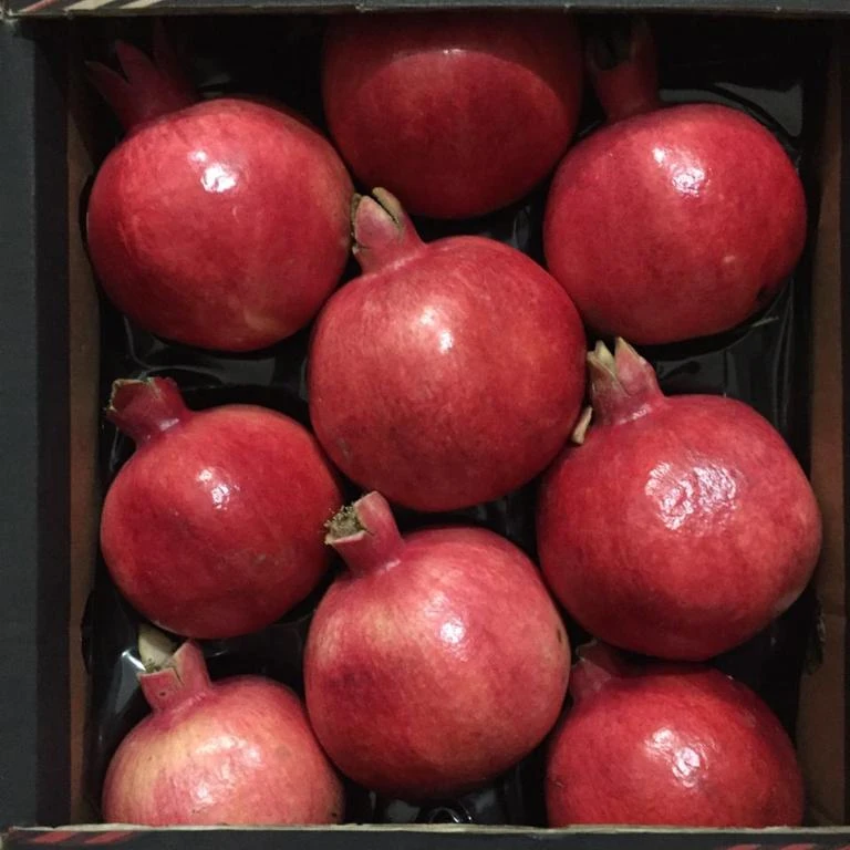 Pomegranate / Fresh Pomegranate