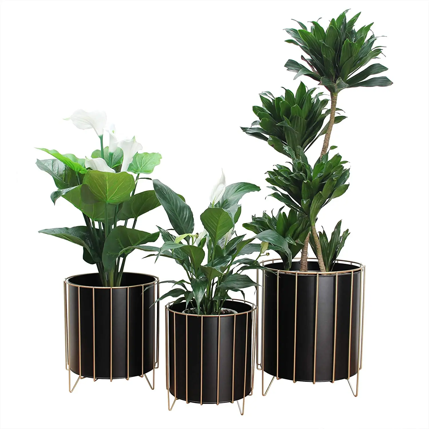 Latest Design Brass Metal Garden Metal Planter for Indoor Outdoor Decoration