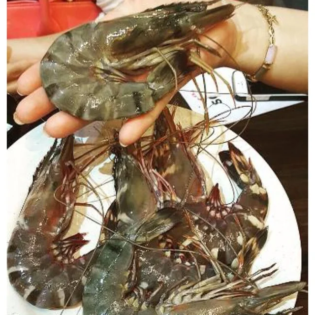 Get Low Price Now best products of  Vietnam natural Frozen Headless Shell On Vanamei Shrimp with factory Price