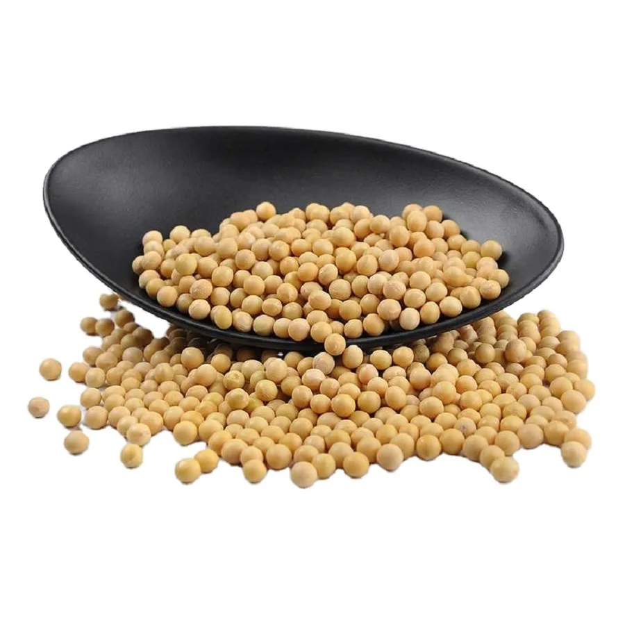 2021 высокое качество NON-GMO соевые бобы с органические соевые бобы