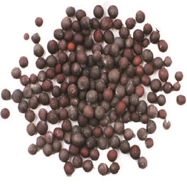 Black Mustard Seeds Single Herbs Spice High Quality Mustard Seeds Custom Packaging Wholesale Black Mustard seed Trusted Supplier