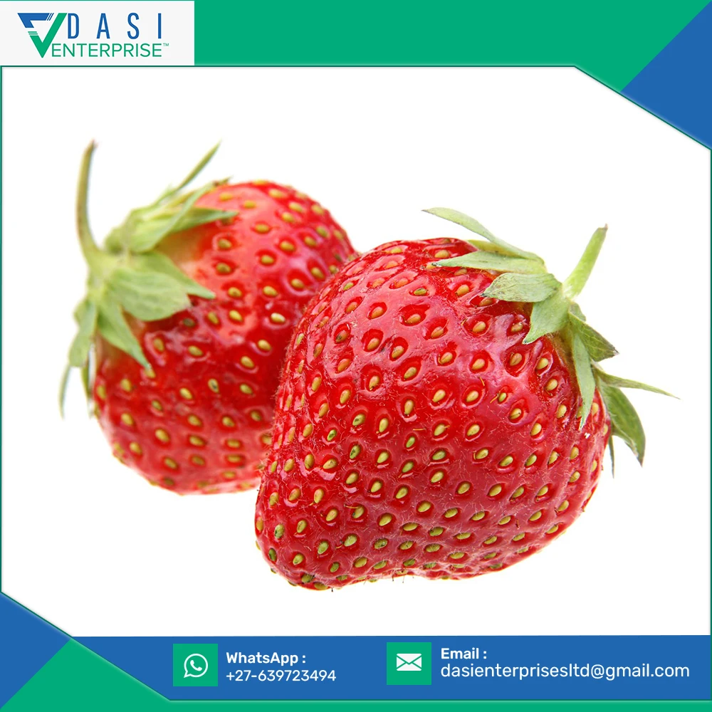  Quality Verified International Selling Of Natural Red Strawberry Full Vitamins In Cheap