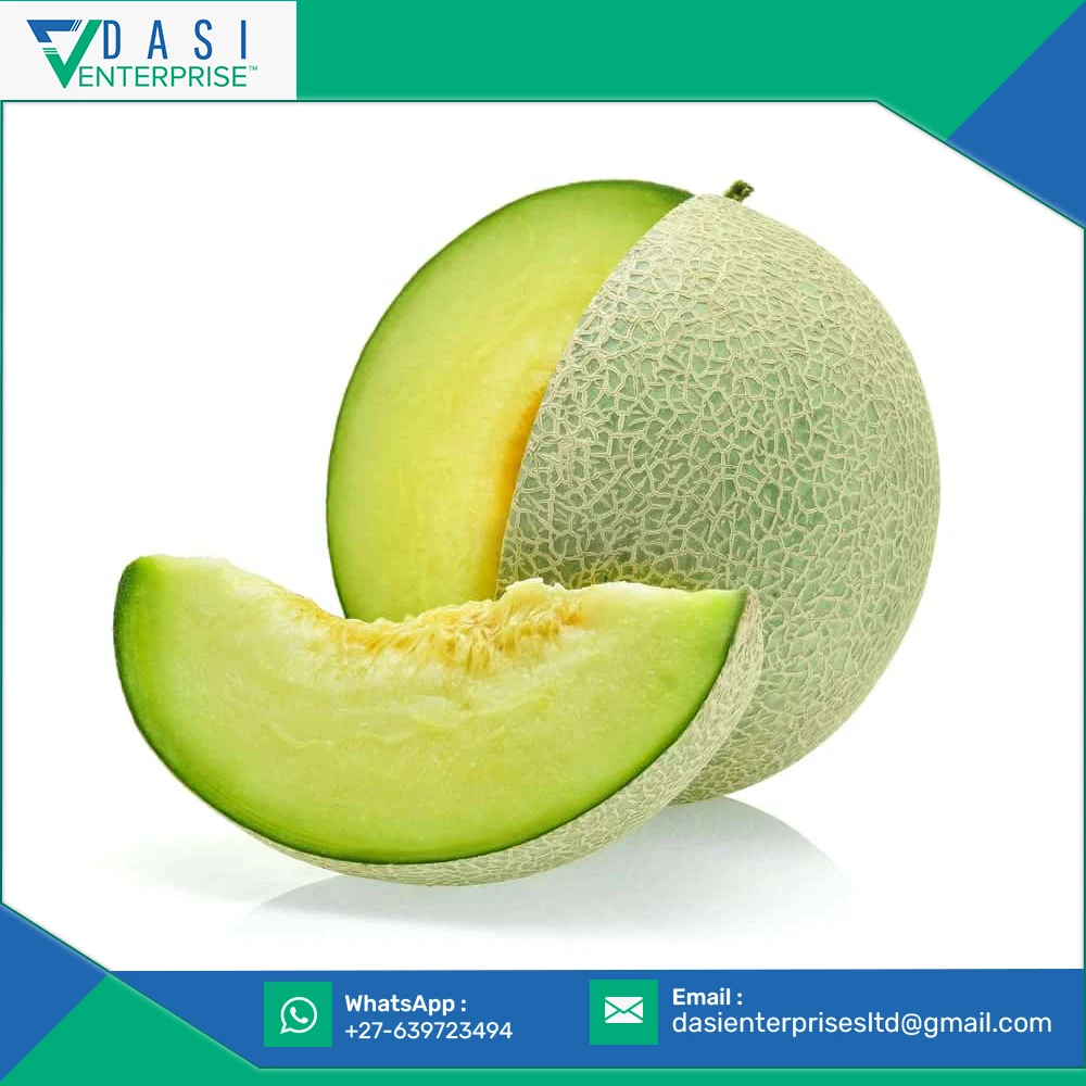 Globally Own Logo Good Fragrance Fresh Natural Grown Muskmelon In Large Stock At Reasonable Price