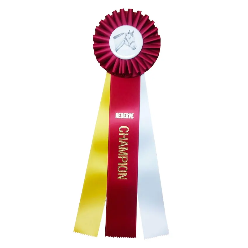 Оптом с индивидуальным принтом победы премии выдвиженческие изготовленные на заказ лента розетка значок