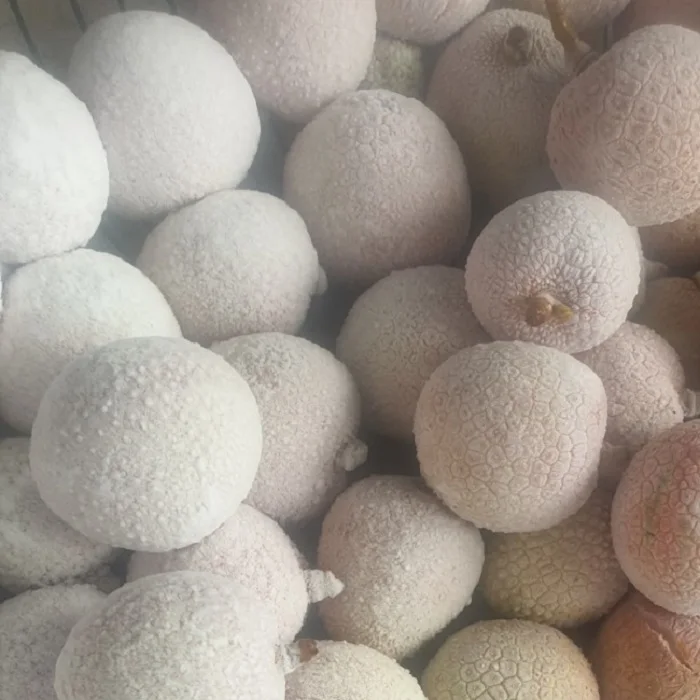 Личи в сиропе, произведенном во Вьетнаме, хорошо для сердца, продажа по хорошей цене для экспортного рынка