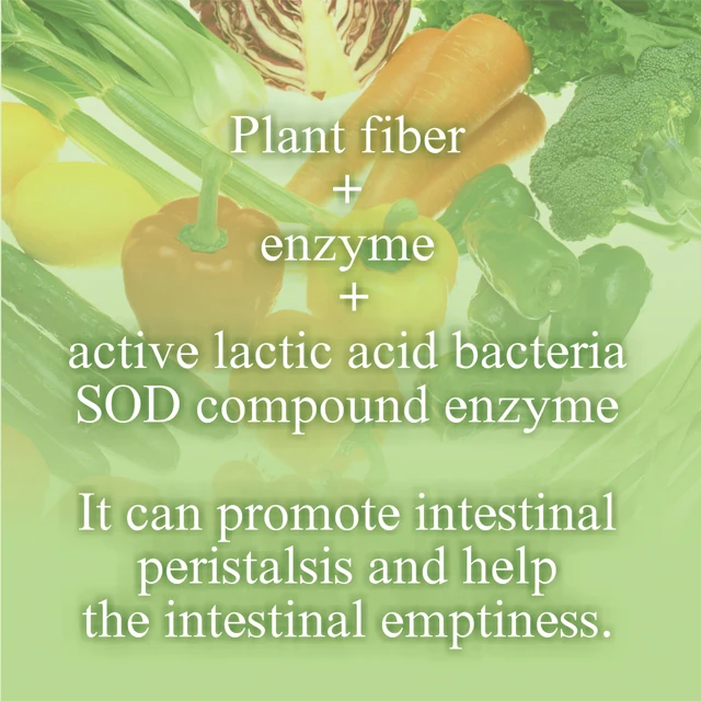 Fruit and Vegetable Fermented Enzyme S Powder - Green Life (30 packs)