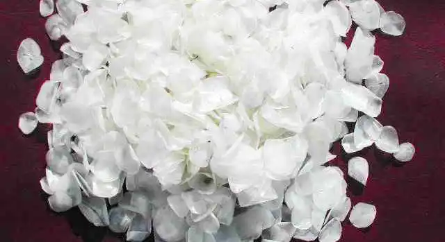 Весы для коллагена с высококачественными сушеными рыбными весами из Вьетнама (компания Thai Lien мисс фуон: + 84789196389)