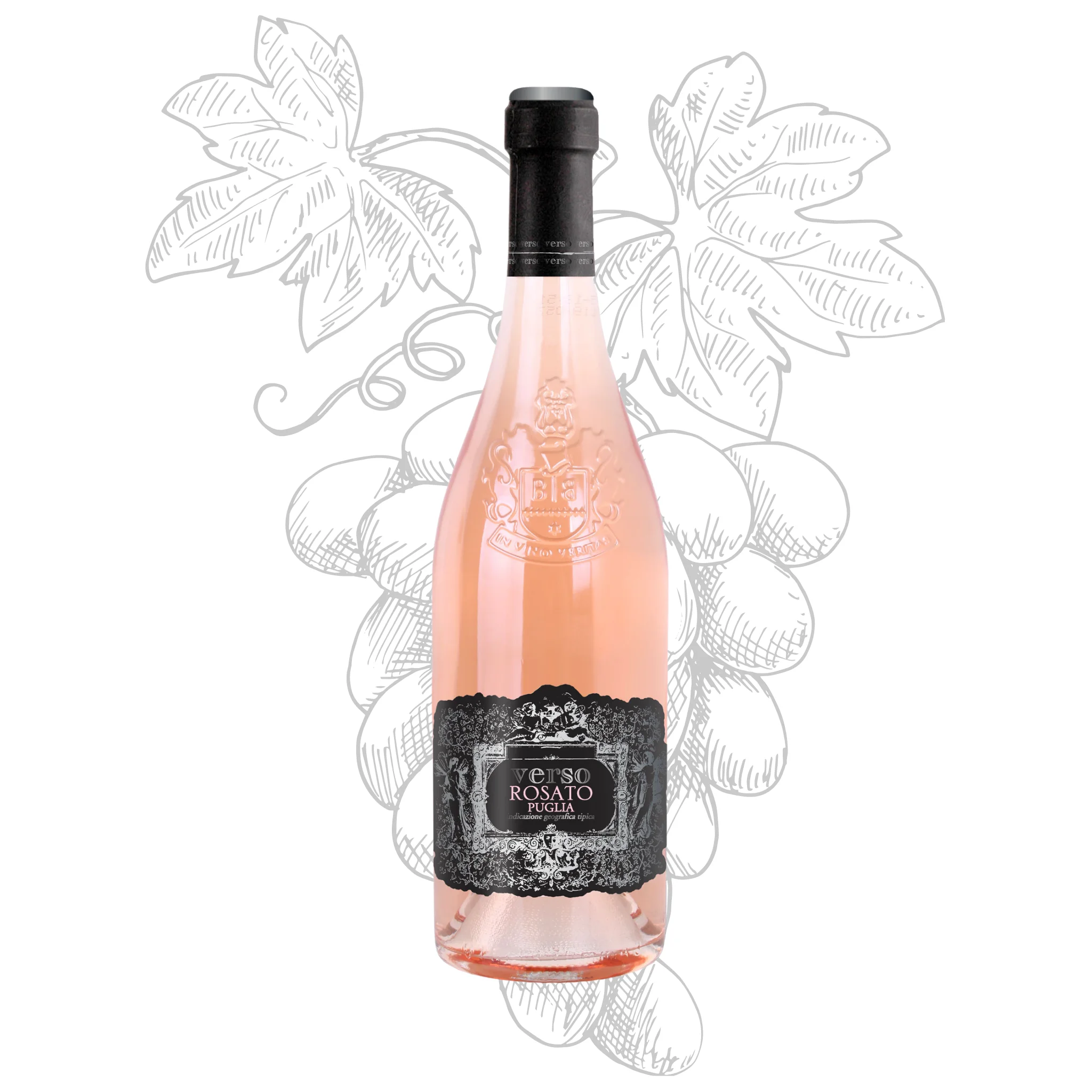 Premium Rose Wine Made in Italy - Rosato Puglia IGT Verso Rosato- Sweet rose wine - bottles 750 ml alcohol 12.5% for export