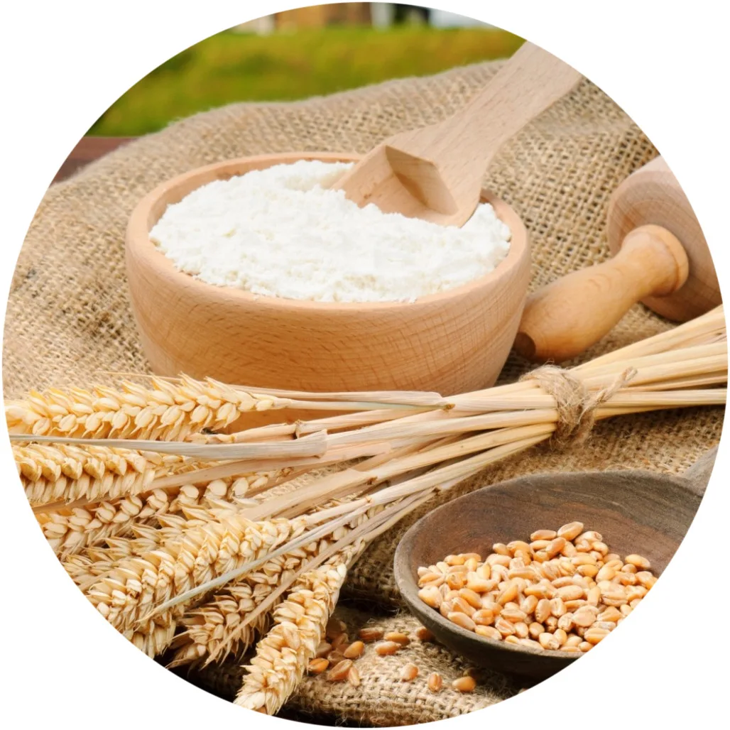 
Wheat flour from Kazakhstan at a wholesale price 