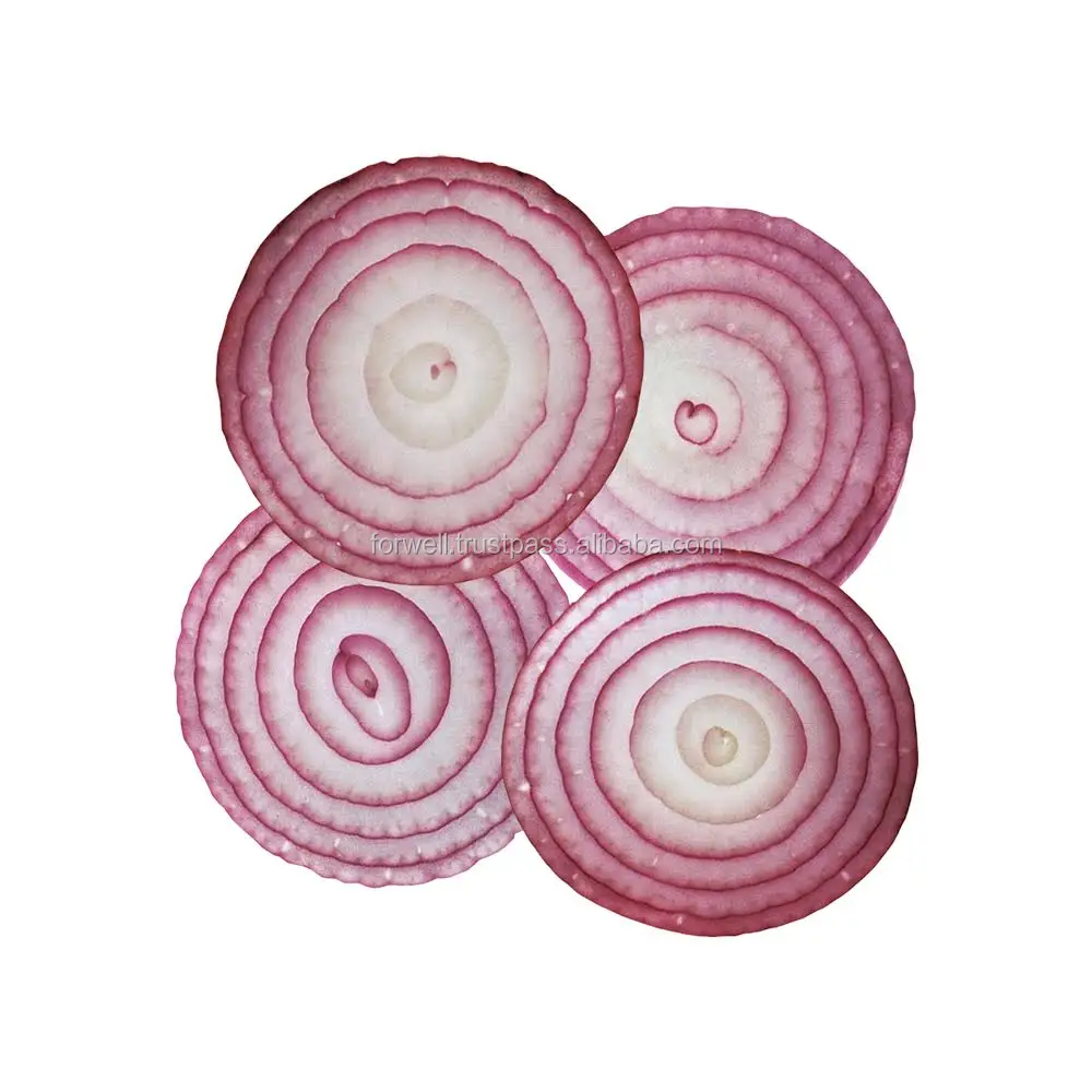 Hot sale best price fresh Egyptian red onion with high quality from Egypt