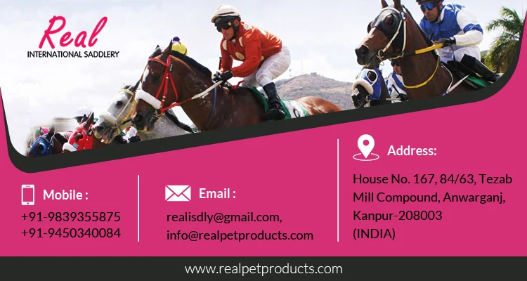 Manufacturer of New Design English Saddle Pleasure Trail English Horse Saddle And Best Jumping Saddles