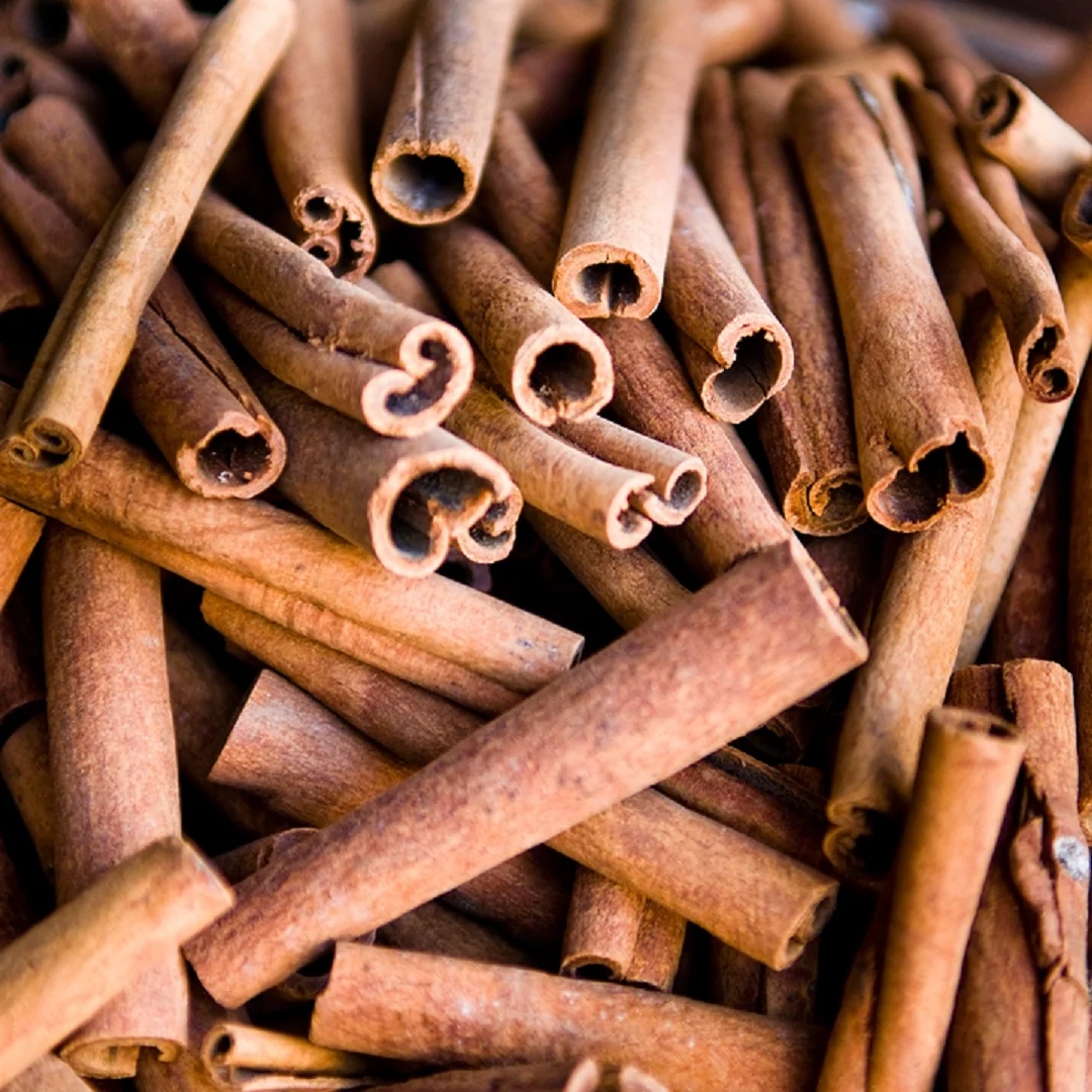 [New Season] Single Spices Best Price High Grade Quality Cinnamon Stick From Vietnam