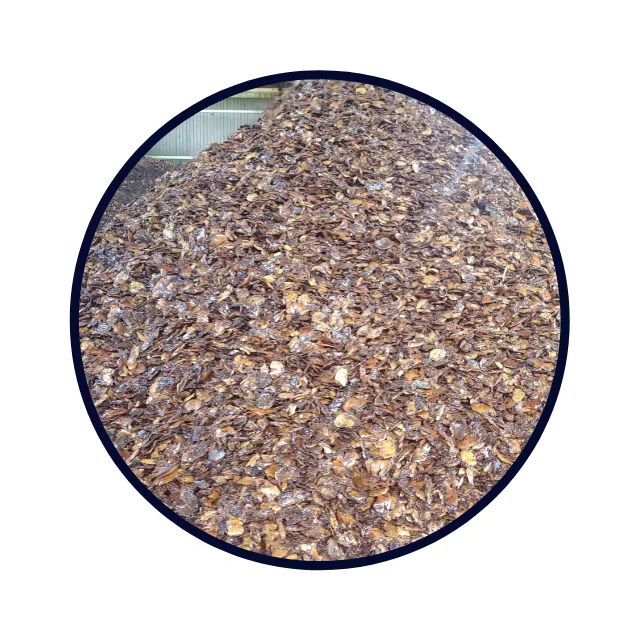 High Quality Cashew Husk For Good Price Cashew Nut Shell Extraction CNSE