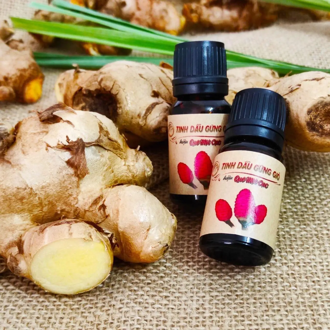 
Natural OEM Organic Aromatherapy Massage Body Fragrance Essential Oil from Vietnam 