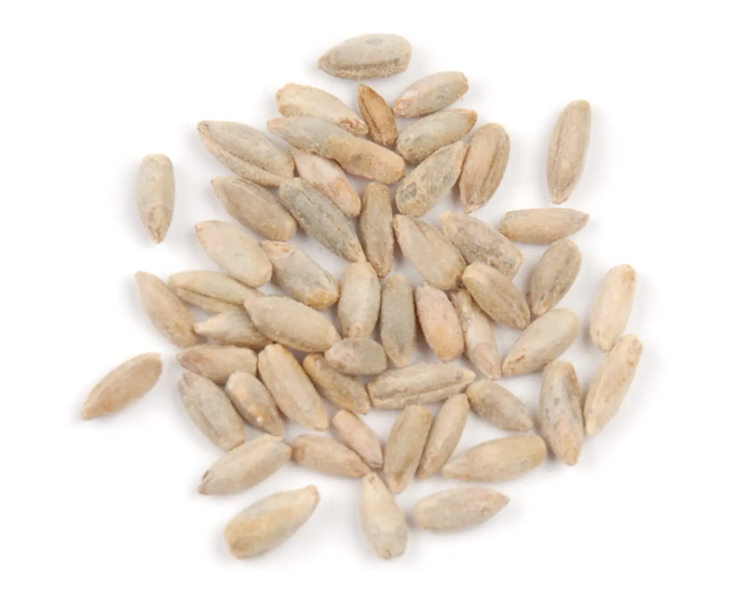 
Dried Whole Rye Grain & Rye Berries 