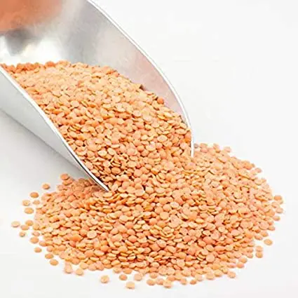 New Crop Lentils Beans Red Turkey