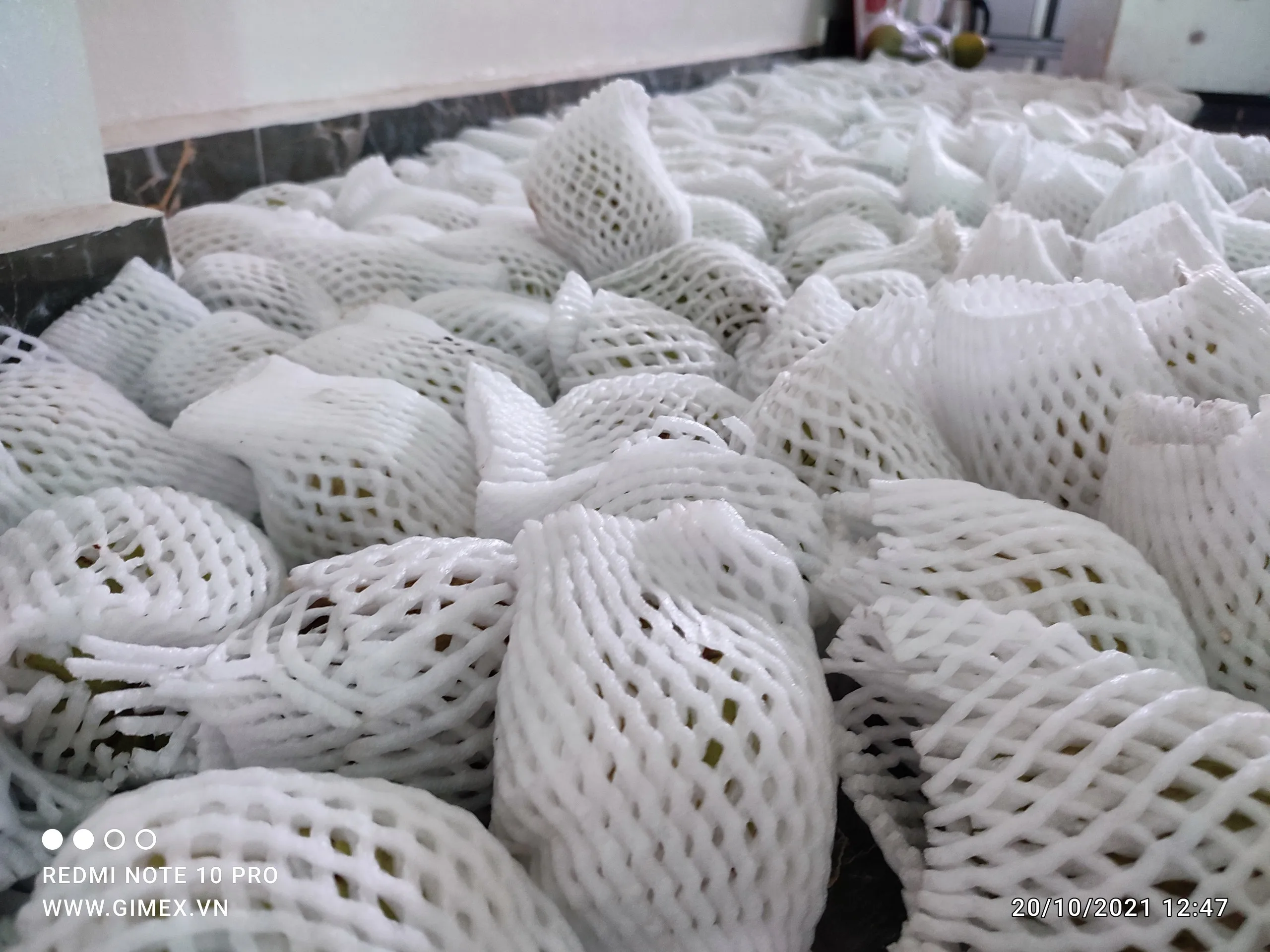 Оптовая цена, высокое качество, обычное культивирование, передовая технология ухода, натуральный сладкий крем яблоко