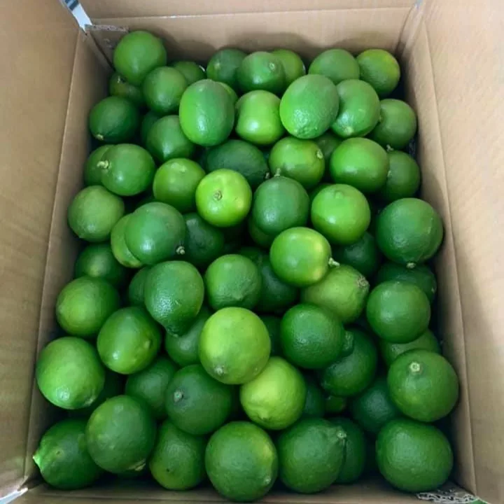 Свежий лайм/лимон без семян Вьетнам высокое качество лучшее предложение для экспорта свежий готов к отправке ЕС Азиатский рынок