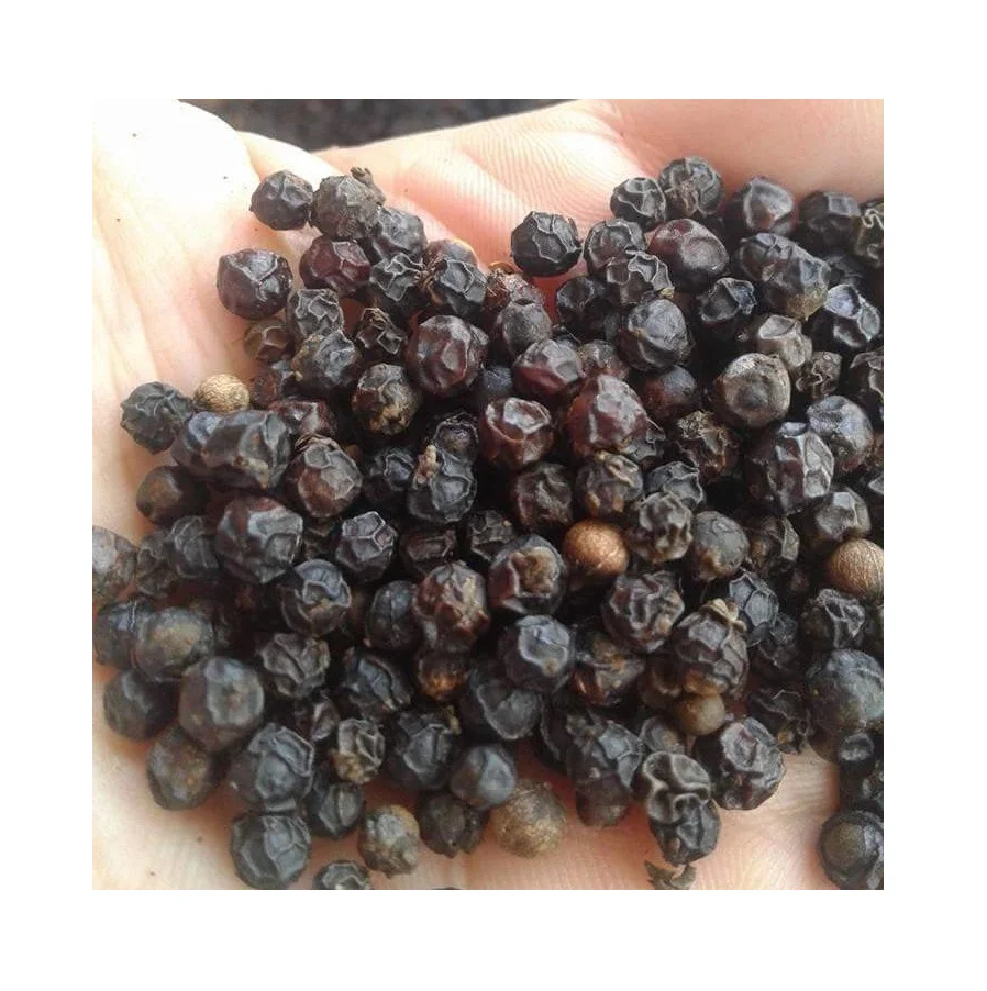 
Dried Organic Black Pepper High Quality Black Dry Pepper With Good Price 