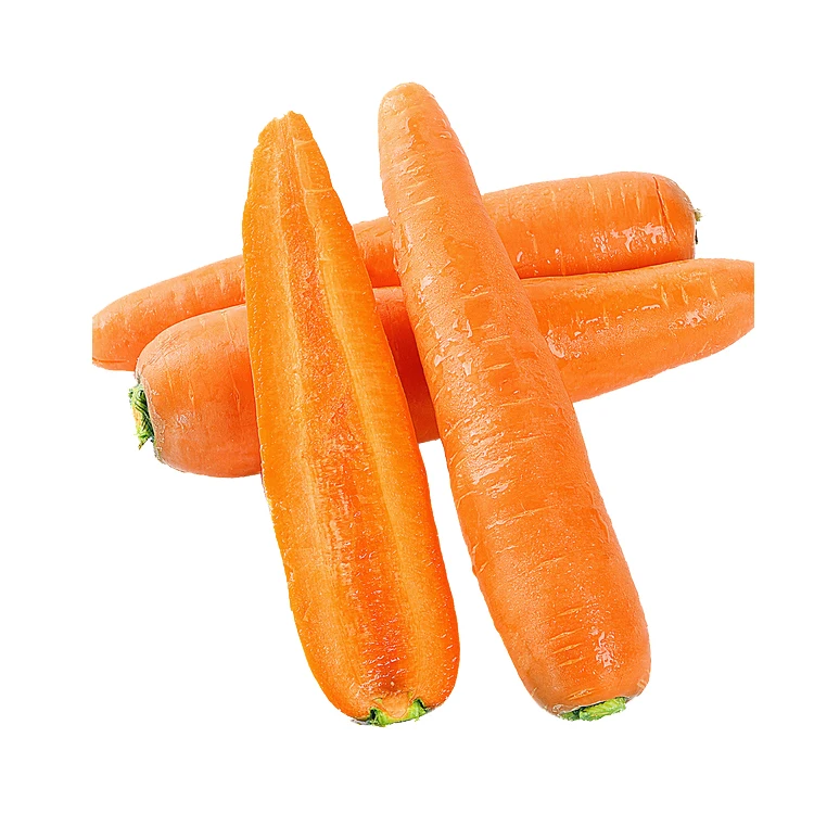2022 new crop fresh carrot clean washed wholesale carrot