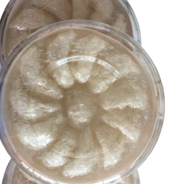 
Best Taste Improve Immune System Bird Nest For Health And Beauty Recovery 100% Natural From Vietnam Wholesaler 