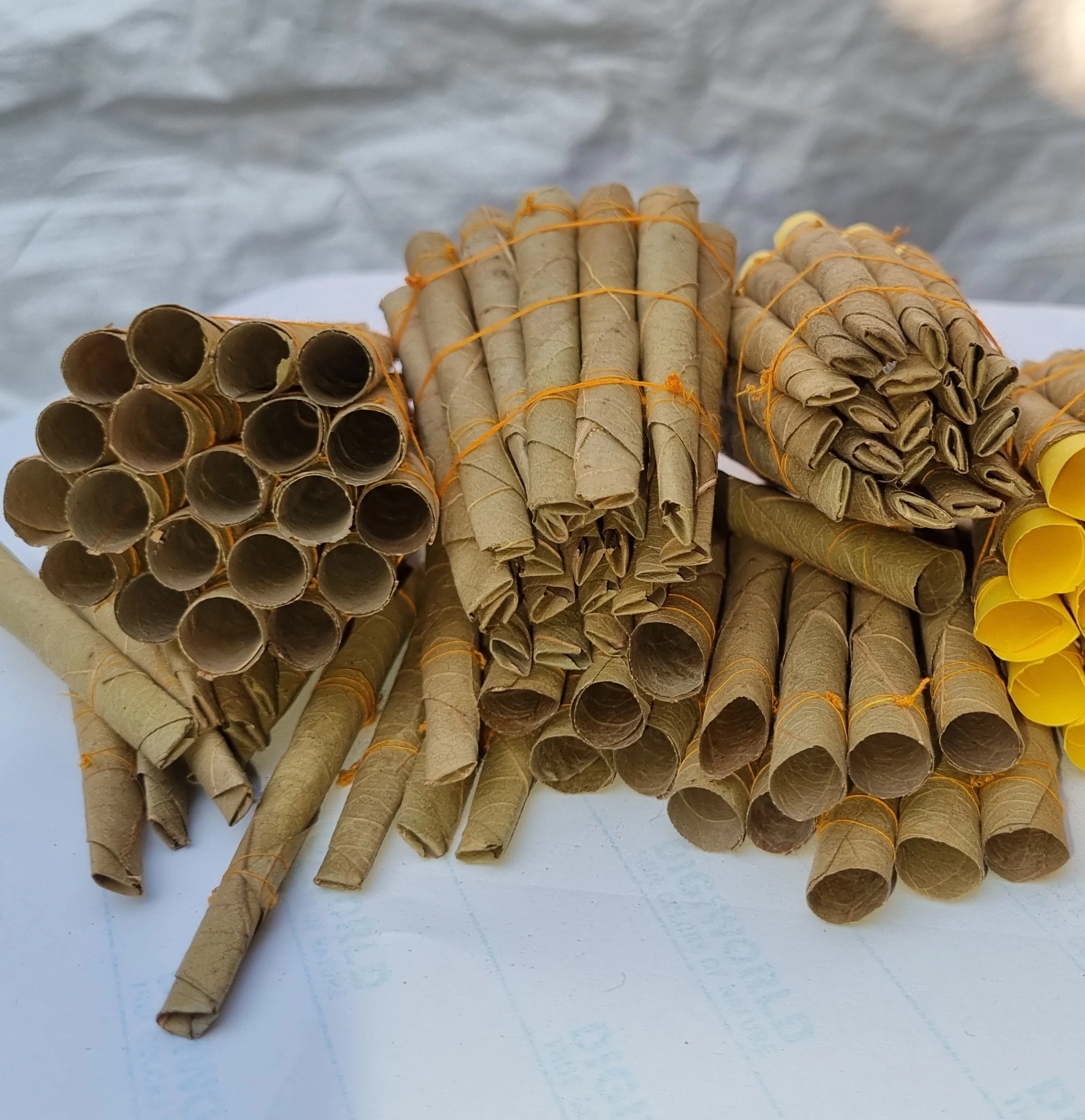 Smoking tip of UN-Filtered Tendu Pre Rolled Leaf Cones.jpg