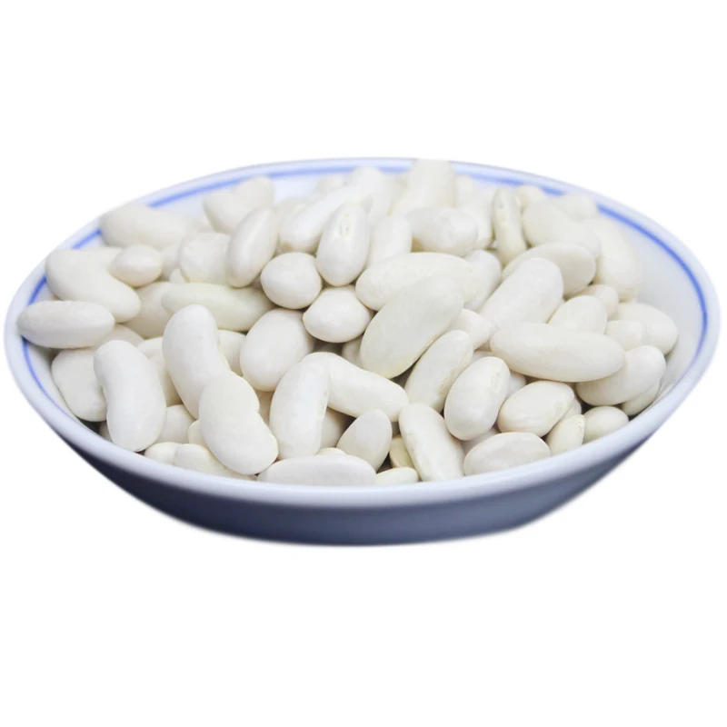  White Kidney Beans for
