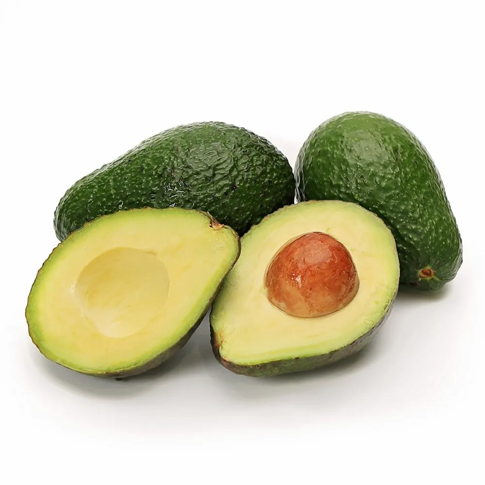 
Fresh Hass Avocado from South Africa for sale 