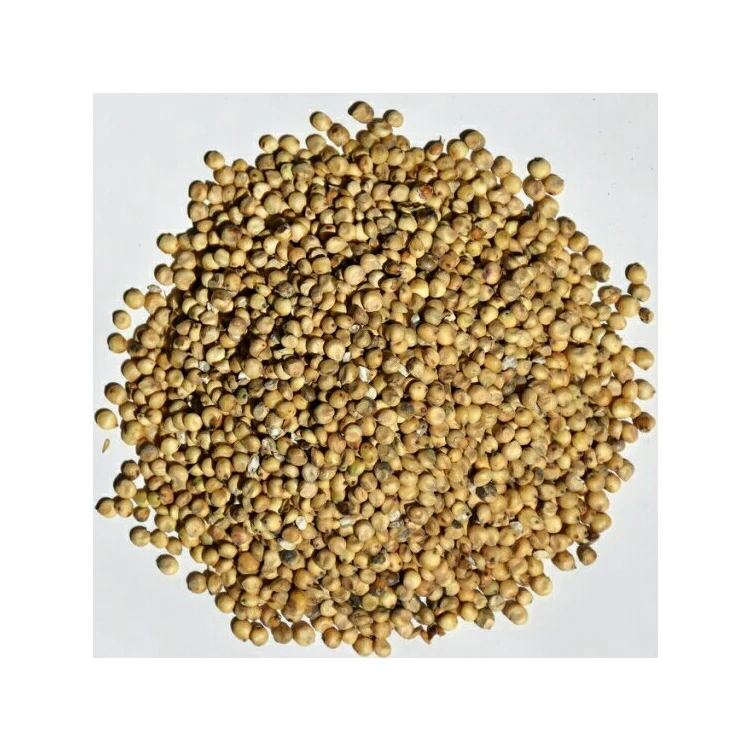 Direct Factory Price 100% Pure Natural Organic Bird Feed Sorghum Grains Kernel Seeds