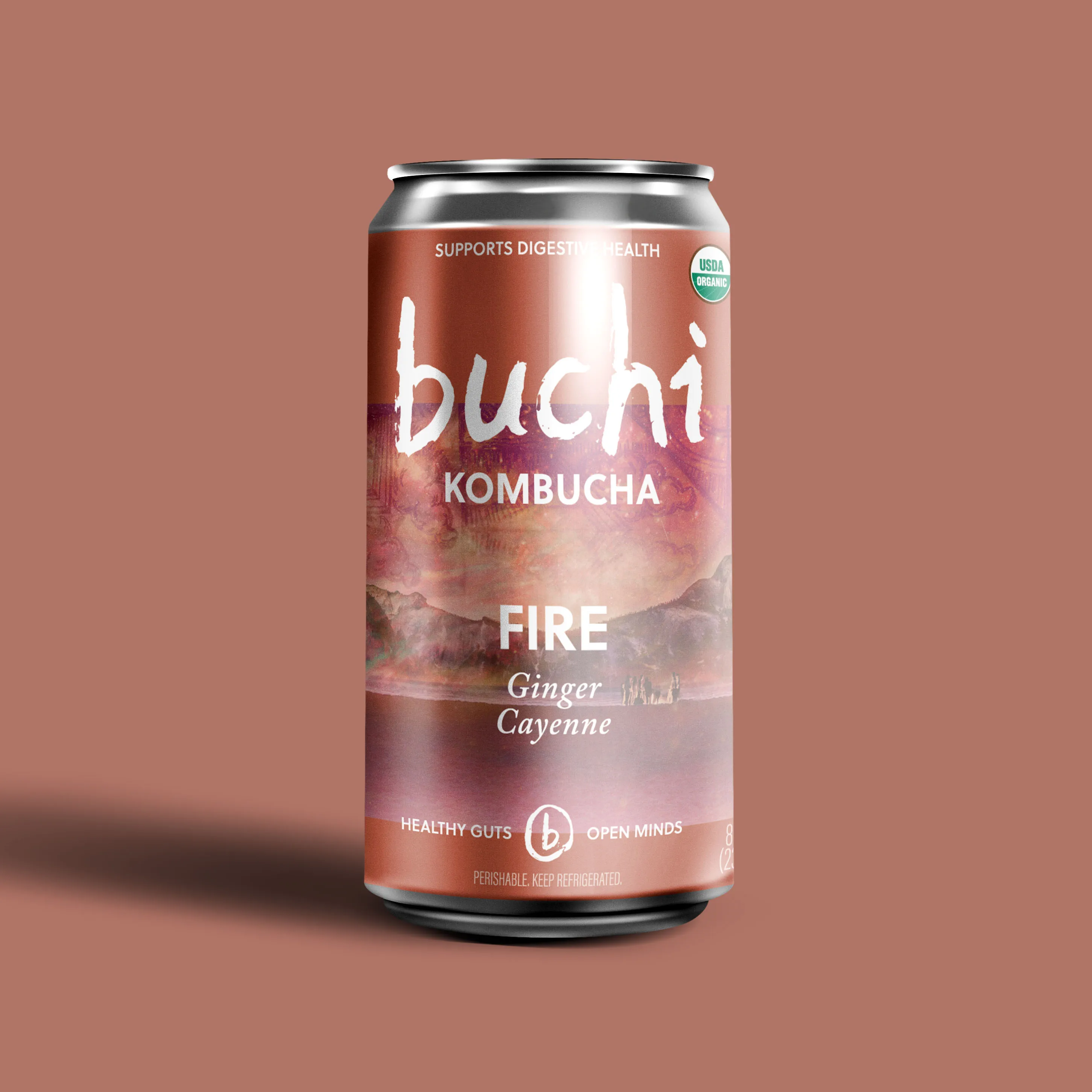 Buchi Kombucha 12/8oz Fire Ginger Cayenne Organic Kombucha Can Premium Quality
