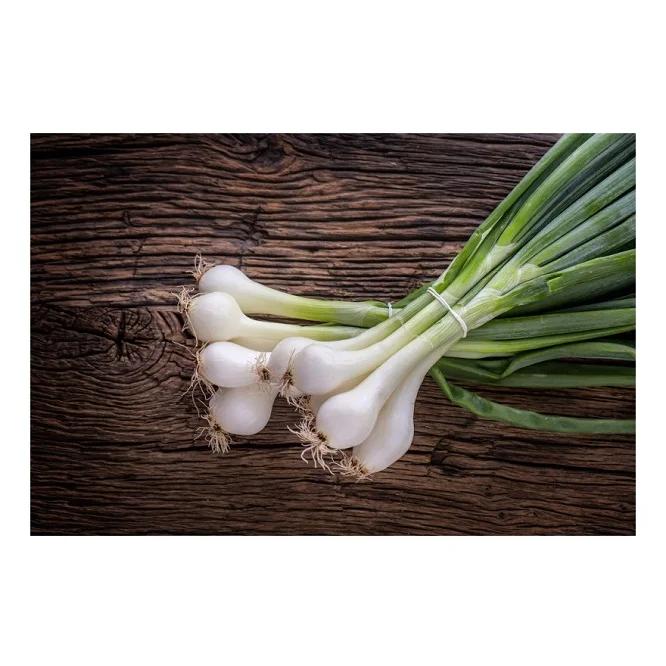 
Best Factory Price Of Fresh Vegetables Scallions Available In Bulk Stock With Custom Packing 