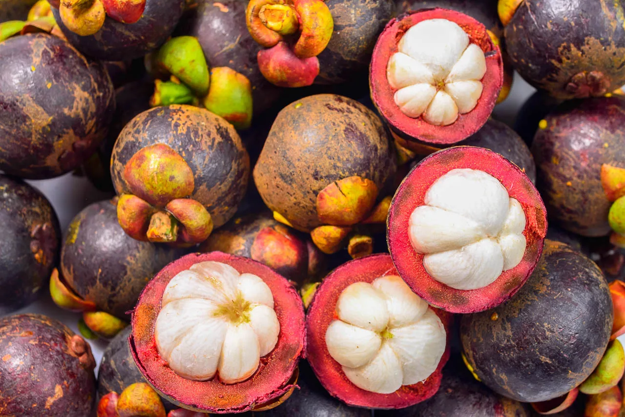 100% White Pulp Mangosteen from Vietnam wholesale - Ms KiO HYUNH + 84 34 375 8904