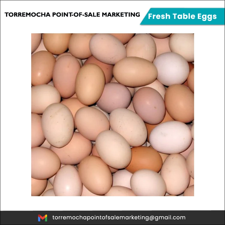 Wholesale Price Best Selling Superior Quality Huge Sale on Fresh Table Eggs from Reputed Supplier
