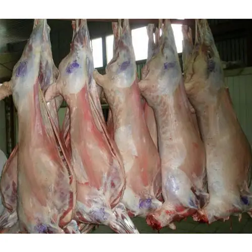 Fresh Frozen Halal Lamb Meat