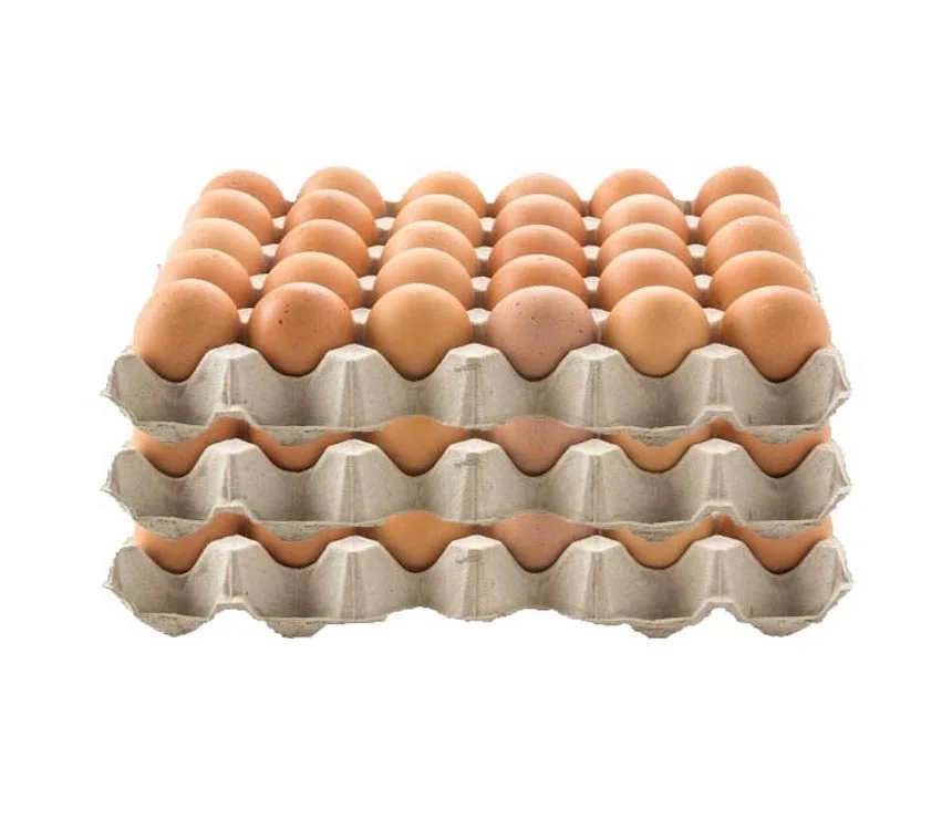Farm Fresh Eggs For Sale