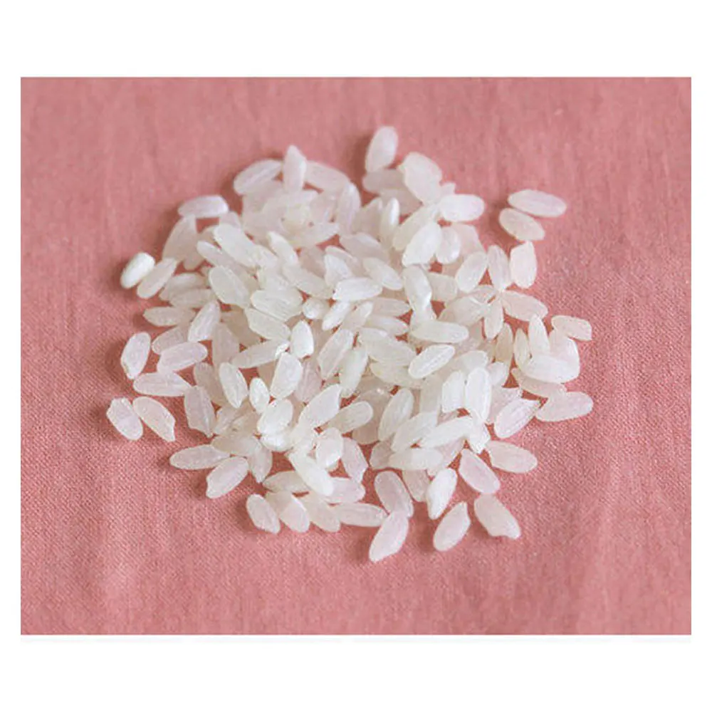Round Grain or Medium Grain Raw Rice 5% Broken Round Rice Bulk Supply from India
